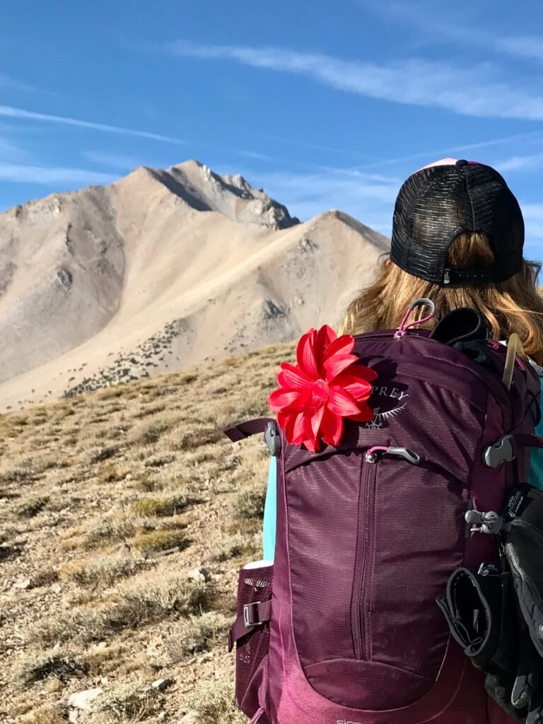 Person hiking toward the summit of Boundary Peak in Nevada, representing the preparation and steady climb toward a personal peak